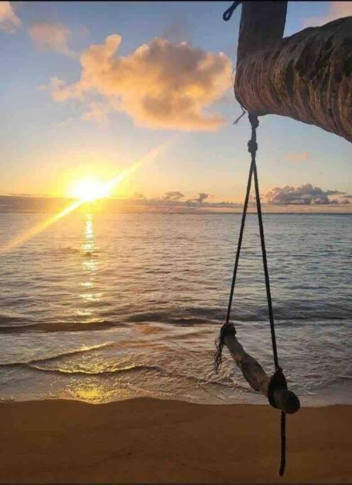Breezy Beachfront Bali-Style Haven 180 Degree Oceanview Hau'ula Zewnętrze zdjęcie