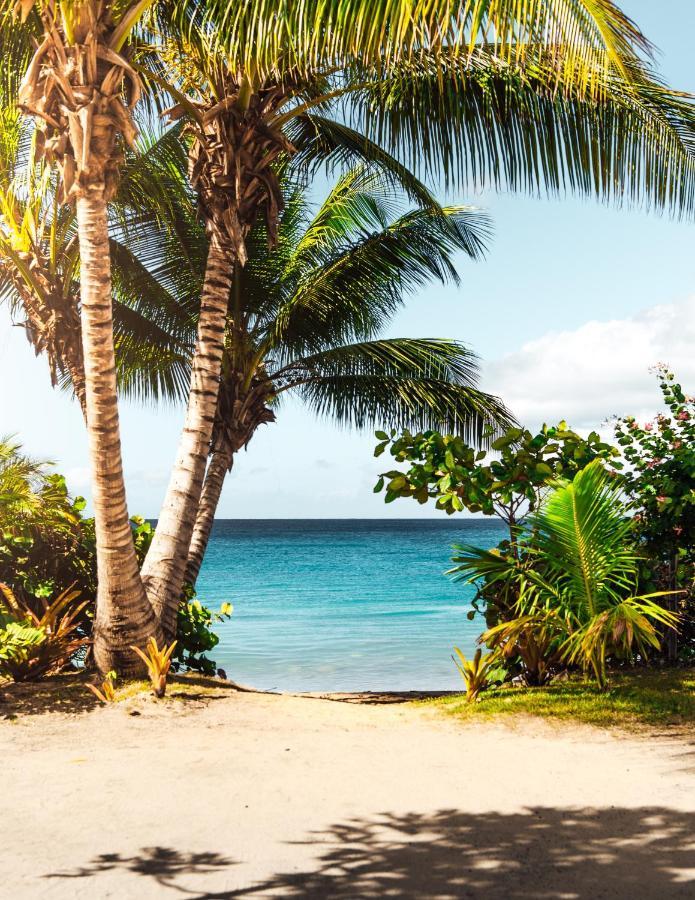 Breezy Beachfront Bali-Style Haven 180 Degree Oceanview Hau'ula Zewnętrze zdjęcie