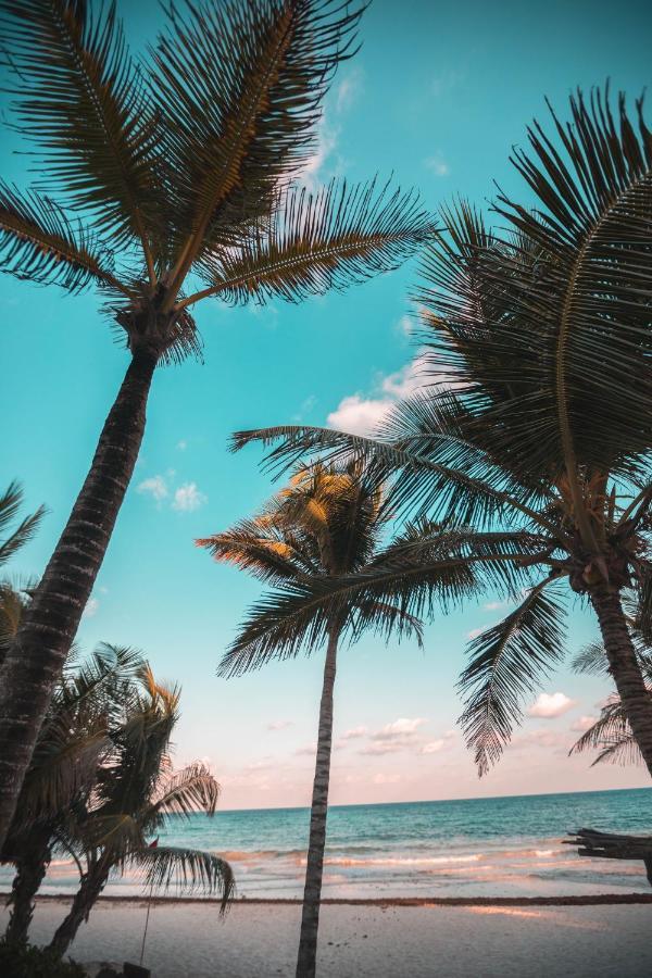 Breezy Beachfront Bali-Style Haven 180 Degree Oceanview Hau'ula Zewnętrze zdjęcie