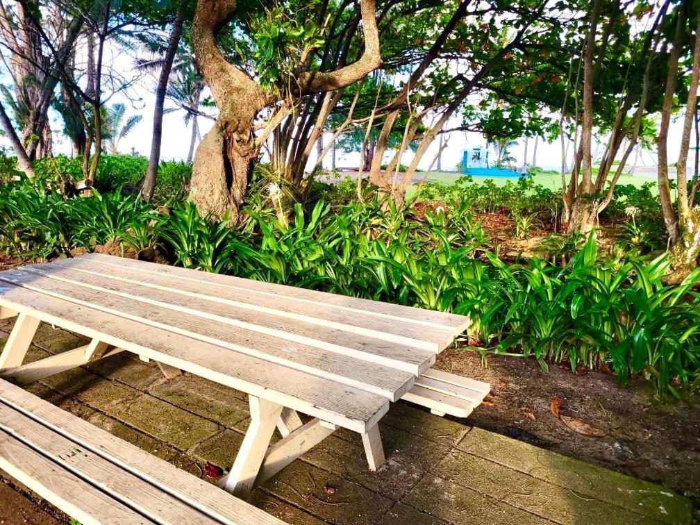 Breezy Beachfront Bali-Style Haven 180 Degree Oceanview Hau'ula Zewnętrze zdjęcie