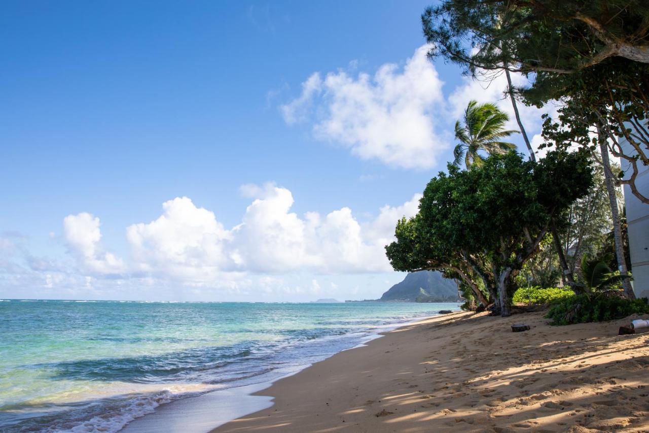 Breezy Beachfront Bali-Style Haven 180 Degree Oceanview Hau'ula Zewnętrze zdjęcie